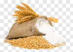 Сlipart Cereal Plant Processed Grains Wheat Flour Sack photo cut out BillionPhotos