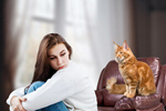 Сlipart cat discipline pet point behavioral   BillionPhotos