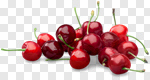 Сlipart Cherry Fruit Isolated Red White photo cut out BillionPhotos