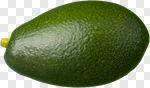 Сlipart Avocado Vegetable Fruit Seed Freshness photo cut out BillionPhotos