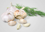 Сlipart garlic herb raw thyme white   BillionPhotos