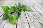 Сlipart mint white aroma background closeup   BillionPhotos
