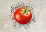 Сlipart infographic tomato concept diet science   BillionPhotos