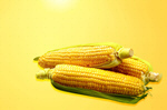 Сlipart corn background maize sweet food   BillionPhotos