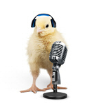 Сlipart communication chick funny music microphone   BillionPhotos