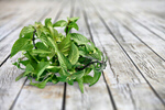 Сlipart mint white aroma background closeup   BillionPhotos