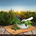 Сlipart herb herbal mortar green summer   BillionPhotos