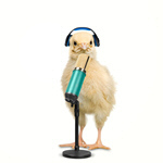 Сlipart communication chick funny music microphone   BillionPhotos