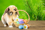 Сlipart easter rabbit spring cute forest   BillionPhotos
