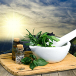 Сlipart herb herbal mortar green summer   BillionPhotos