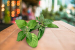 Сlipart mint white aroma background closeup   BillionPhotos