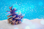 Сlipart Snow Winter Pine Cone Snowing Forest   BillionPhotos