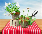 Сlipart gardening garden spring bright gift   BillionPhotos