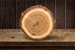 Сlipart Tree Ring Log Wood Tree Trunk Tree   BillionPhotos