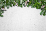 Сlipart christmas background above backdrop branch   BillionPhotos