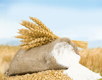 Сlipart Cereal Plant Processed Grains Wheat Flour Sack   BillionPhotos
