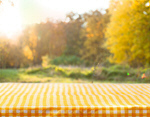 Сlipart picnic kitchen cloth product tablecloth   BillionPhotos