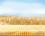 Сlipart tablecloth summer background outdoor beams   BillionPhotos