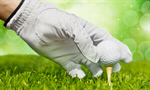 Сlipart Golf Human Hand Golf Ball Putting Green Ball   BillionPhotos