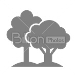 Сlipart Tree Environment Nature Plant Isolated vector icon cut out BillionPhotos