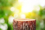 Сlipart background podium forest product jungle   BillionPhotos