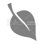 Сlipart Leaf Leaves Environment Nature Environmental Conservation vector icon cut out BillionPhotos