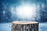 Сlipart background podium forest product jungle   BillionPhotos