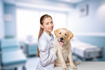Сlipart dog pet emergency tooth uniform   BillionPhotos