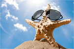 Сlipart Sunglasses Starfish Beach Shell Summer   BillionPhotos