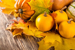 Сlipart pumpkin halloween autumn fall food photo  BillionPhotos