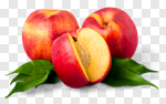 Сlipart Peach Nectarine Fruit Isolated Leaf photo cut out BillionPhotos