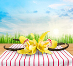 Сlipart vanilla flower closeup heap stick   BillionPhotos