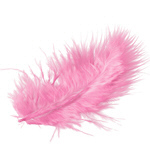 Сlipart feather white light abstract bird   BillionPhotos