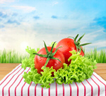 Сlipart Tomato Basil Vegetable Herb Food   BillionPhotos