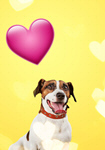 Сlipart valentine dog day love balloon   BillionPhotos