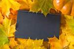 Сlipart Autumn concept background holiday card frame photo  BillionPhotos