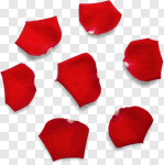 Сlipart Rose Petals Petal Rose Wedding Red photo cut out BillionPhotos