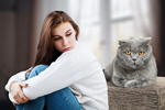 Сlipart cat discipline pet point behavioral   BillionPhotos