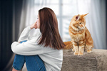 Сlipart cat discipline pet point behavioral   BillionPhotos