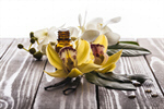 Сlipart spa oil closeup natural medical photo  BillionPhotos