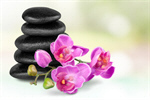 Сlipart Orchid Spa Treatment Stone Flower Single Flower   BillionPhotos