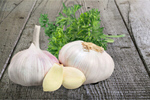 Сlipart garlic herb raw thyme white   BillionPhotos