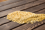 Сlipart grain barley whole spike ripe   BillionPhotos