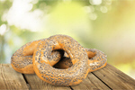 Сlipart Bagel Bread Food Freshness Two Objects   BillionPhotos