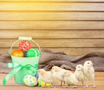 Сlipart Easter Easter Egg Eggs Spring Animal Egg   BillionPhotos