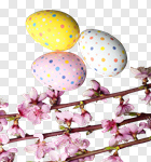 Сlipart flower pink desk concept composition photo cut out BillionPhotos