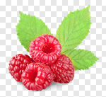 Сlipart closeup isolated ripe hairy two photo cut out BillionPhotos