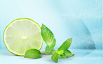 Сlipart lime lemon fruit segment mint   BillionPhotos