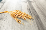 Сlipart wheat background agriculture autumn barley   BillionPhotos