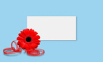 Сlipart remembrance day poppy canada flower   BillionPhotos